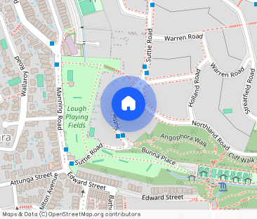 20 Suttie Road Bellevue Hill - Photo 1