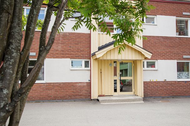 Ankarskatavägen 87 A, 94134, Piteå - Foto 1