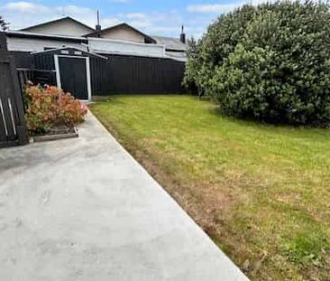 Feilding - Three Bedrooms - Photo 4