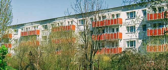 Mit Blick auf den Igelpfuhl - Photo 1