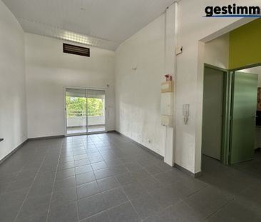 Location Appartement 2 pièces 38m² CAYENNE 97300 - Photo 1