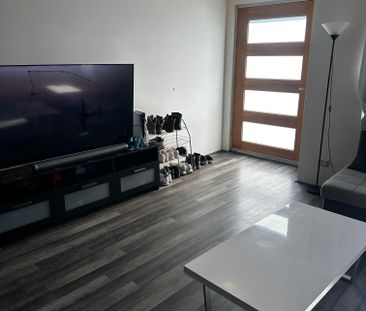Hilbert - Photo 3