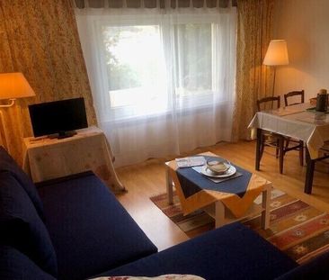 21/2-ROOM APARTMENT IN GWATT (THOUNE), FURNISHED, TEMPORARY - Photo 6