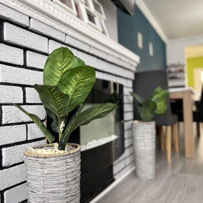 4 bedroom semi-detached house to rent - Photo 1