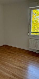 Location Appartement 2 pièces 40m² DETTWILLER 67490 - Photo 4