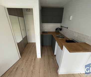 Location Appartement 1 pièce 22m² - Photo 3