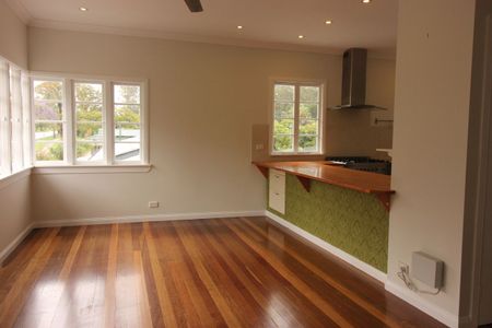 High in the Hills of Old Petrie - Photo 3