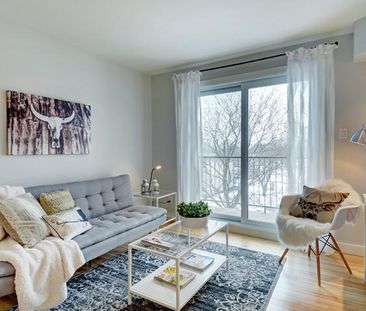 Appartement 5 ½ à louer Sainte-Foy / Sillery juillet 2026 - Photo 3