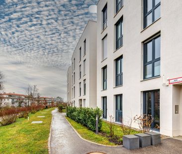 2,5-Zimmer-Wohnung mit großer Dachterrasse und Balkon - Photo 3