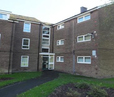 1 Bed Flat, Jordanthorpe, S8 - Photo 5