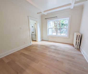 Spacious 1 Bedroom Apartment in Downtown Hamilton!! - Photo 3