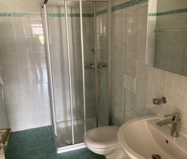 Rue du Clos-Novex 49, 1868 COLLOMBEY - Photo 3