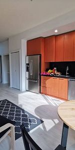 Coal Harbour furnished studio unit (The Qube) - Photo 3