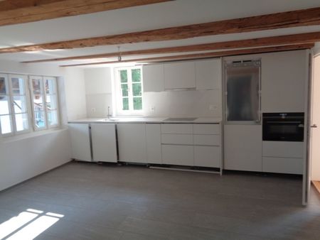 Un bel appartement avec beaucoup de charme près d’Albisriederdörfli - Foto 5