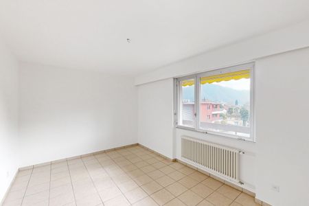 Ampio e luminoso 3.5 locali vicino al lago - Foto 2