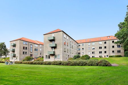 Afd. 67 Skovvænget - Photo 5