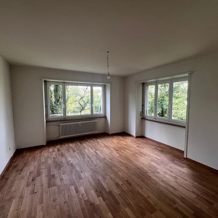 3.5 Zimmer, 81 m², 1. Stock - Foto 1