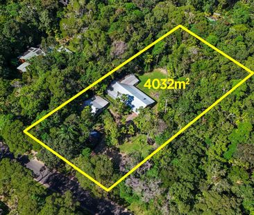 UNFURNISHED STUDIO IN THE HEART OF THE RAINFOREST! - Photo 4