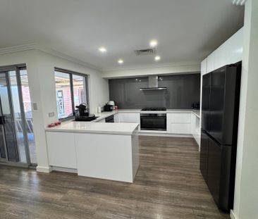 Marangaroo - Photo 6