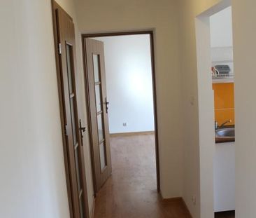 Toruń - Фото 6