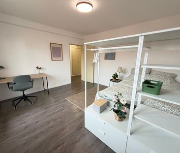 Magnifique 1 pièces 31m² Quartier Vosges/Contades - Photo 3