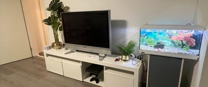 Suche Nachmieter - Photo 1