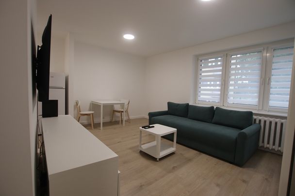 mieszkanie na wynajem Szczecin Pomorzany - Photo 1