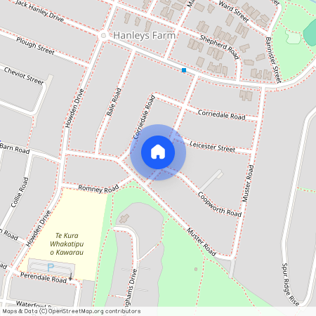 20 Fallow Street, Jacks Point, Queenstown