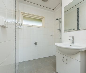 Character Plus - Photo 6