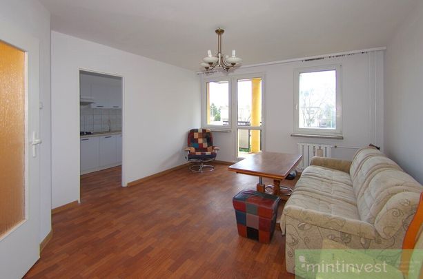 Wynajem, Gumieńce kawalerka z balkonem - Zdjęcie 1