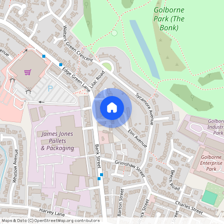 Elm Avenue, Golborne, Warrington, WA3