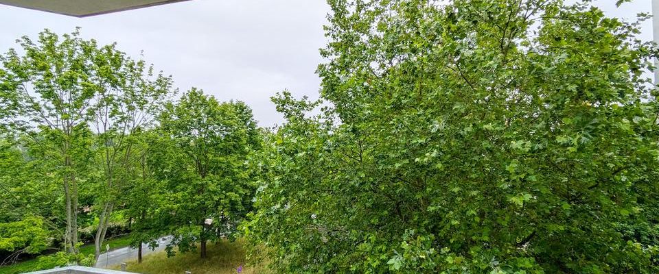 ++ schöne & günstige 3-Raum-Wohnung - großer Balkon mit Ausblick ins Grüne ++ - Photo 1