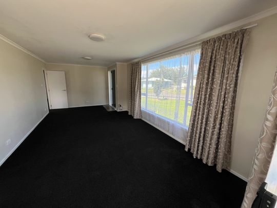Spacious 4-Bedroom Family Home in Pukehangi - Photo 1