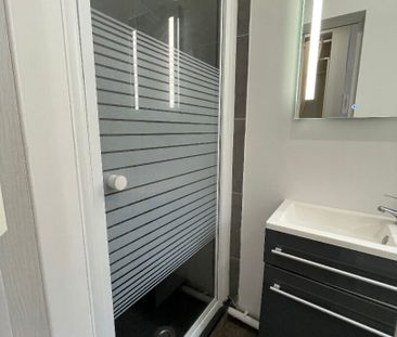 Location Appartement 1 pièce 15m² - Photo 4
