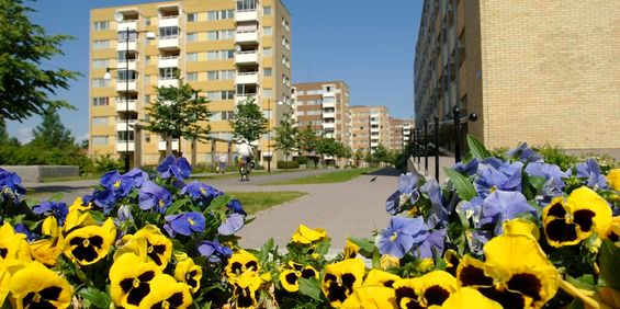 Nedre Borgmästaregatan 7 - Foto 3