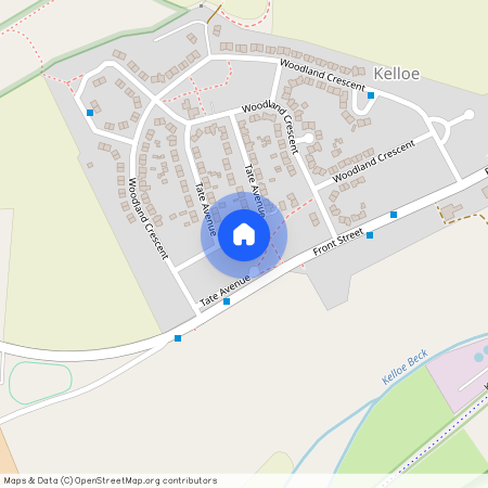 Tate Avenue, Kelloe, DH6