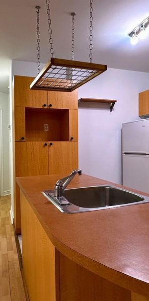 Appartement Montréal (Mercier/Hochelaga-Maisonneuve) À Louer - Photo 1