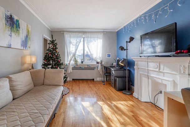 Condo for rent, Mont-Royal - Photo 1