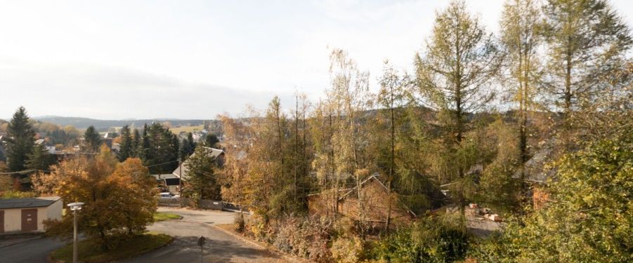 3-Raum-Wohnung mit Einbauküche und toller Aussicht über Geyer!!! - Photo 1