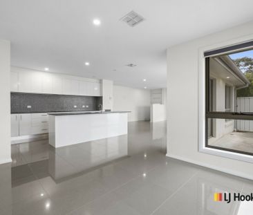 54B McCulloch Street, Curtin ACT, Belconnen - Photo 1