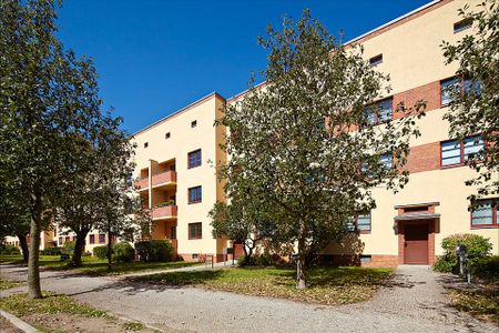 Mehringstr. 33, 39114 Magdeburg OT Cracau - Photo 3