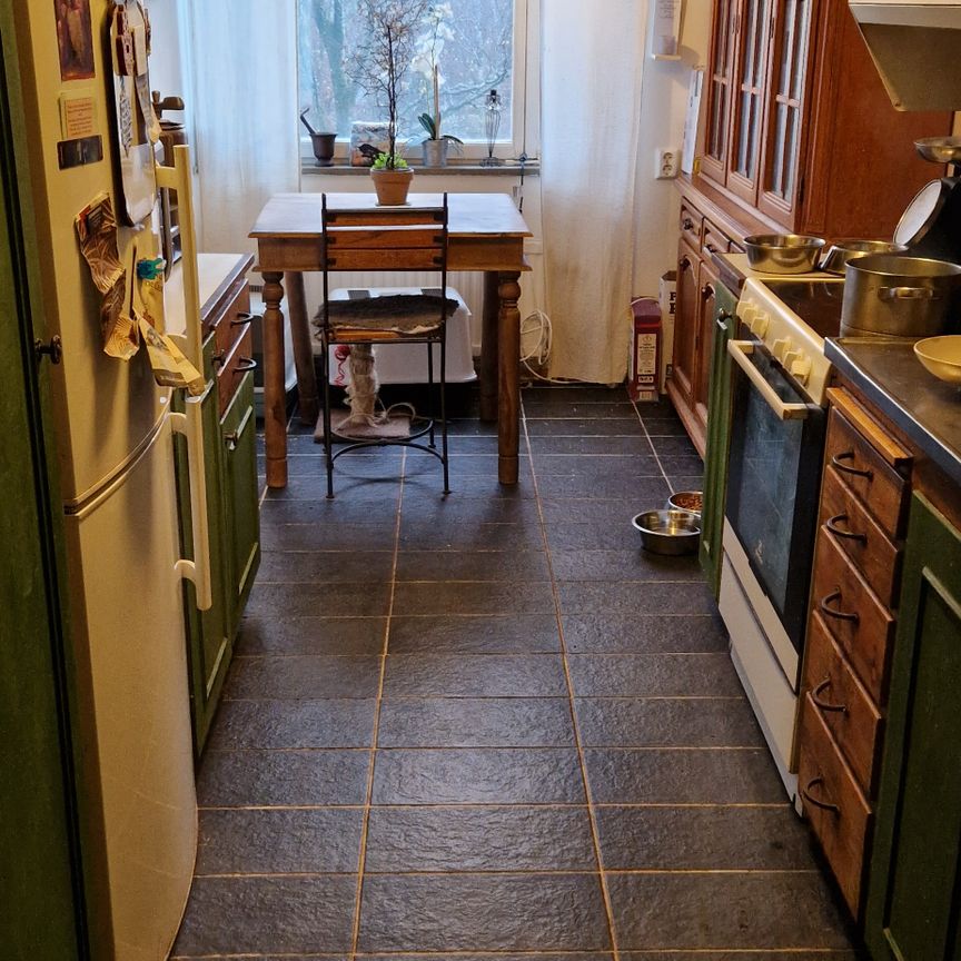 Doktor Forselius Backe, Göteborg - Photo 1