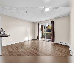 1 Bed 1 Bath For Rent Park Place Oliver Downtown - Photo 6