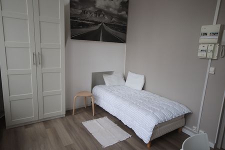Location Appartement 1 pièce 14m² LILLE 59000 - Photo 2