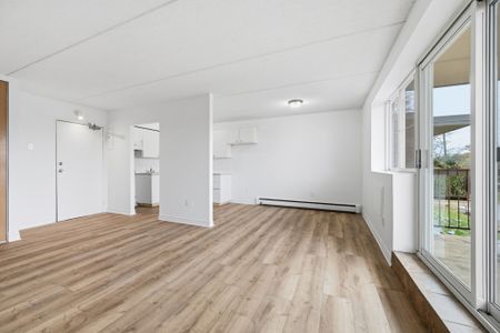 For Lease - 19 Manchester Avenue Unit# 301, St. Catharines, Ontario - Photo 2