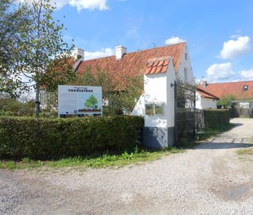 Huis te huur in Petegem-Aan-De-Leie - Photo 6