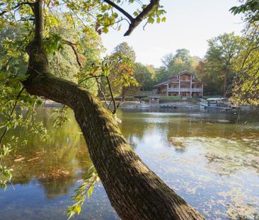 Avenue Franklin Roosevelt, 1000, Bruxelles - Photo 2