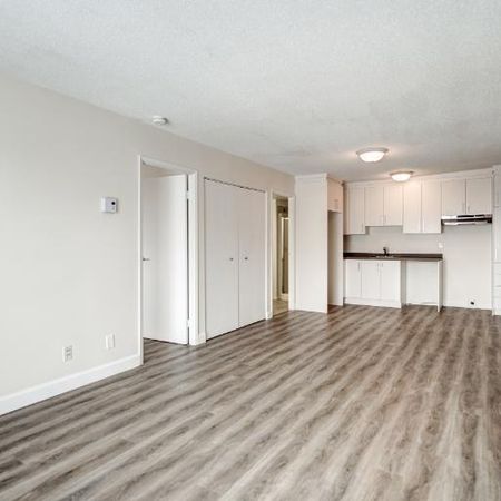 Appartement 3 ½ à louer Sainte-Foy / Sillery février 2026 - Photo 3