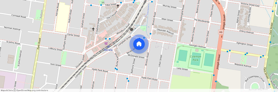 8 Berala St, NSW 2141