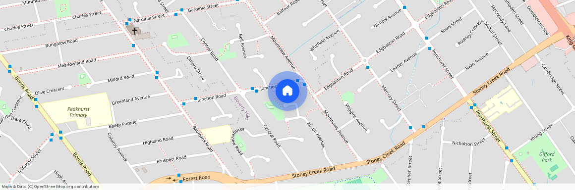 41A Junction Road, NSW 2209, Beverly Hills